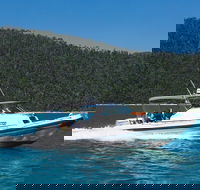 Private Standard Charter Experience in Whitsundays - Yamba Accommodation