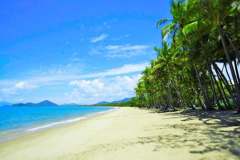 Airport Transfer - Palm Cove, Kewarra Beach & Trinity Beach To Cairns Airport - Yamba Accommodation 2