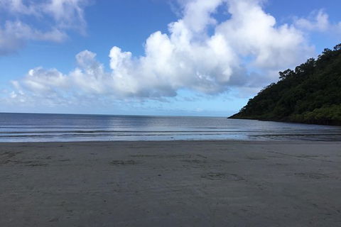 Daintree Luxury Limousine Tour - Full Day - Yamba Accommodation 6