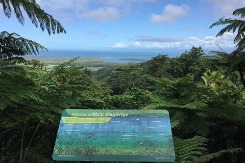 Daintree Luxury Limousine Tour - Full Day - Yamba Accommodation 0