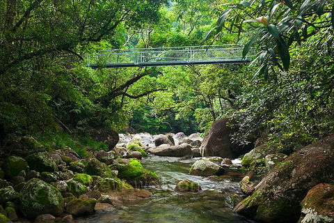 SHUTTLE - Mossman Gorge & Cooya Beach From Port Douglas (Return Transfer) - Yamba Accommodation 4