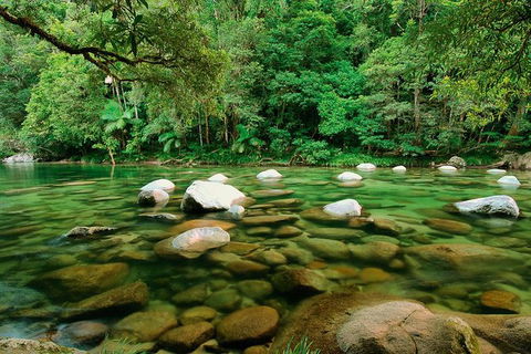 SHUTTLE - Mossman Gorge & Cooya Beach From Port Douglas (Return Transfer) - Yamba Accommodation 3