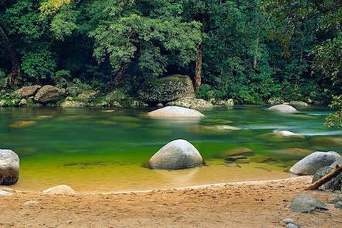 SHUTTLE - Mossman Gorge & Cooya Beach From Port Douglas (Return Transfer) - Yamba Accommodation 1