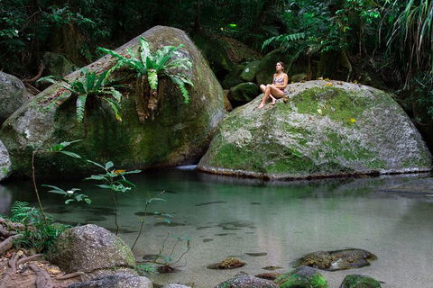 Mossman Gorge Adventure Day - Yamba Accommodation 6