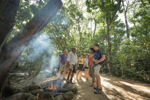 Mossman Gorge Adventure Day - Yamba Accommodation 2