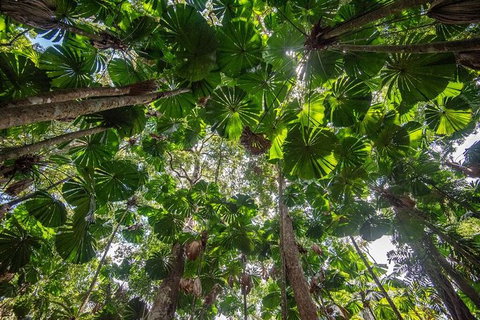 5 Day Australia Retreat: Queensland Daintree - Yamba Accommodation 4