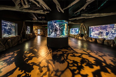 Cairns Aquarium Tour By Twilight With Drink And Appetiser - Yamba Accommodation 4