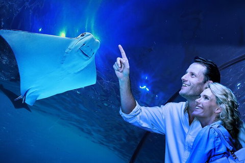 Cairns Aquarium Tour By Twilight With Drink And Appetiser - Yamba Accommodation 0