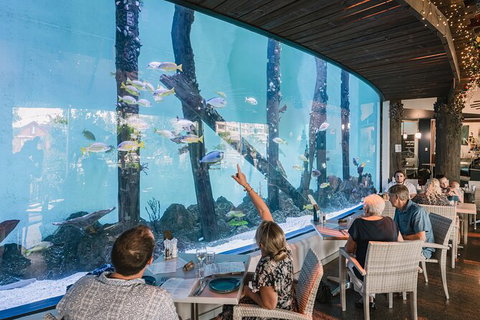 Cairns Aquarium Tour By Twilight With Drink And Appetiser - Yamba Accommodation 1