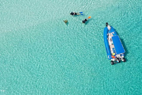 Remote Fraser Island & Whale Experience - Yamba Accommodation 0