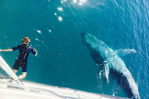 Remote Fraser Island & Whale Experience - Yamba Accommodation 4