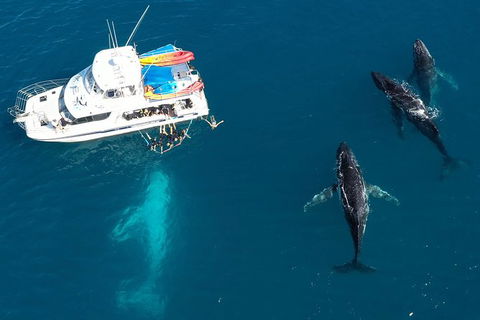 Remote Fraser Island & Whale Experience - Yamba Accommodation 3