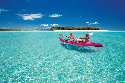 Remote Fraser Island & Whale Experience - Yamba Accommodation 5