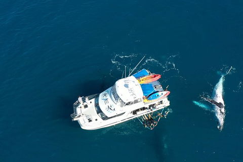 Remote Fraser Island & Whale Experience - Yamba Accommodation 1