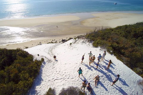 Remote Fraser Island & Whale Experience - Yamba Accommodation 2