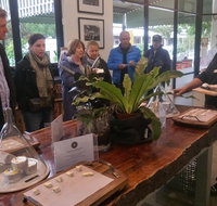 Half-Day Tour with a unique Barossan experience - Yamba Accommodation