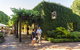 Yalumba Cooperage Tour - thumb 8