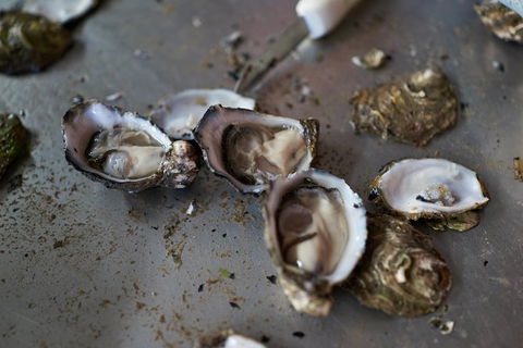 Fine Flavours - Full Day Kangaroo Island Food & Wine Tour - Yamba Accommodation 10