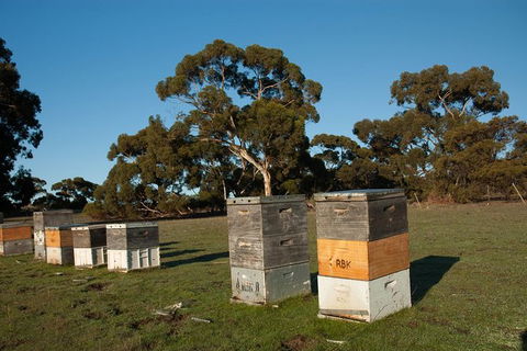 Fine Flavours - Full Day Kangaroo Island Food & Wine Tour - Yamba Accommodation 5