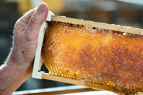 Fine Flavours - Full Day Kangaroo Island Food & Wine Tour - Yamba Accommodation 0