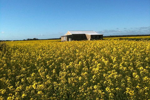 Fine Flavours - Full Day Kangaroo Island Food & Wine Tour - Yamba Accommodation 11