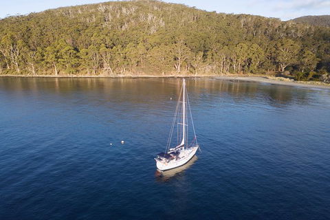 Derwent River Day Sail From Sullivan Cove And Return - Yamba Accommodation 2