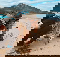 Freycinet Walking Tour - Yamba Accommodation