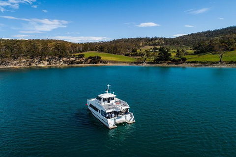 Deep-to-Dish: Tasmanian Seafood Experience - Morning Tour - Yamba Accommodation 4