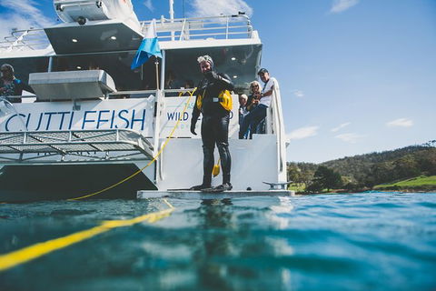 Deep-to-Dish: Tasmanian Seafood Experience - Morning Tour - Yamba Accommodation 11