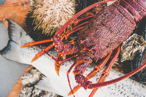 Deep-to-Dish: Tasmanian Seafood Experience - Morning Tour - Yamba Accommodation 1