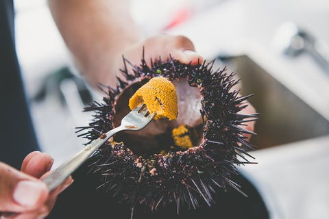 Deep-to-Dish: Tasmanian Seafood Experience - Morning Tour - Yamba Accommodation 9