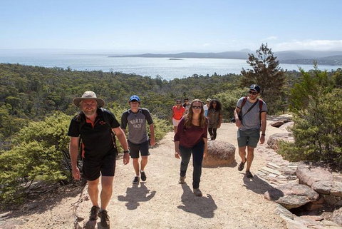 Half-Day Tour To Wineglass Bay From Launceston With Guide - Yamba Accommodation 4