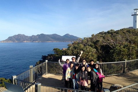 Half-Day Tour To Wineglass Bay From Launceston With Guide - Yamba Accommodation 3