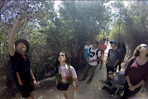 Half-Day Tour To Wineglass Bay From Launceston With Guide - Yamba Accommodation 1