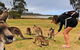 4-Day Fabulous Tasmania Tour: Wineglass Bay, Port Arthur, Devils & Bruny Island - thumb 5