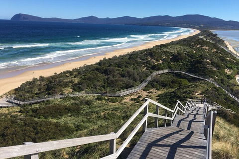 4-Day Fabulous Tasmania Tour: Wineglass Bay, Port Arthur, Devils & Bruny Island - Yamba Accommodation 3