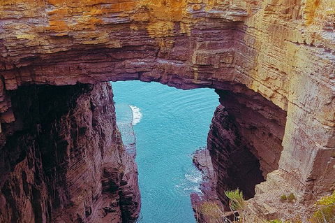 4-Day Fabulous Tasmania Tour: Wineglass Bay, Port Arthur, Devils & Bruny Island - Yamba Accommodation 6