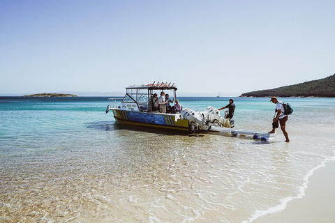 Sea & Explore Wineglass Bay & Freycinet National Park - Cruise & Walk - Yamba Accommodation 3