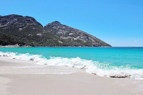 Sea & Explore Wineglass Bay & Freycinet National Park - Cruise & Walk - Yamba Accommodation 4