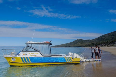 Sea & Explore Wineglass Bay & Freycinet National Park - Cruise & Walk - Yamba Accommodation 7