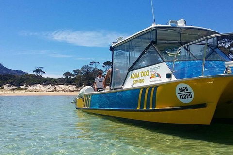 Sea & Explore Wineglass Bay & Freycinet National Park - Cruise & Walk - Yamba Accommodation 1