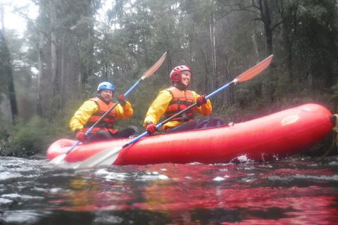 Twin Rivers Winter Adventure - Yamba Accommodation 3