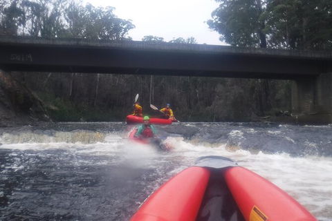 Twin Rivers Winter Adventure - Yamba Accommodation 4