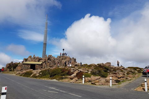 Mt. Wellington Morning Hike + Afternoon Beer & History Walk - Yamba Accommodation 21