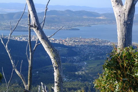 Mt. Wellington Morning Hike + Afternoon Beer & History Walk - Yamba Accommodation 10