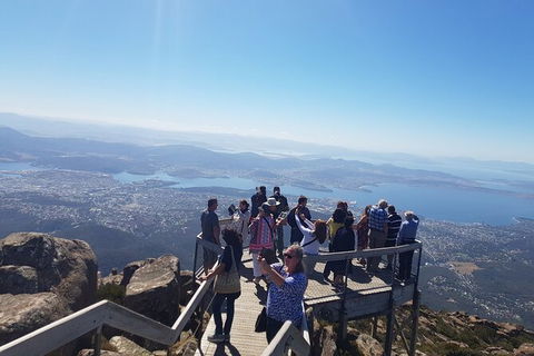Mt. Wellington Morning Hike + Afternoon Beer & History Walk - Yamba Accommodation 2