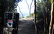 Mt. Wellington Morning Hike + Afternoon Beer & History Walk - thumb 14