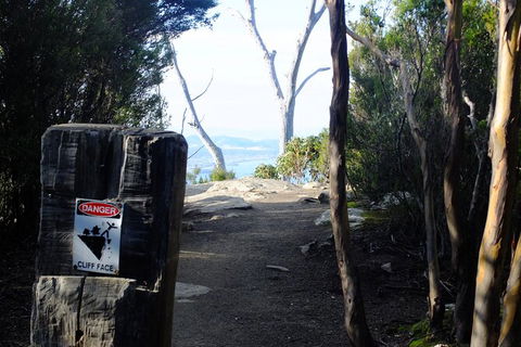 Mt. Wellington Morning Hike + Afternoon Beer & History Walk - Yamba Accommodation 14