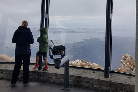 Mt. Wellington Morning Hike + Afternoon Beer & History Walk - Yamba Accommodation 17