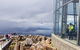 Mt. Wellington Morning Hike + Afternoon Beer & History Walk - thumb 12